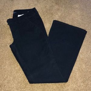 Navy Blue Boot Cut Pants